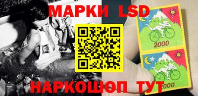 PSILOCYBIN Кулебаки