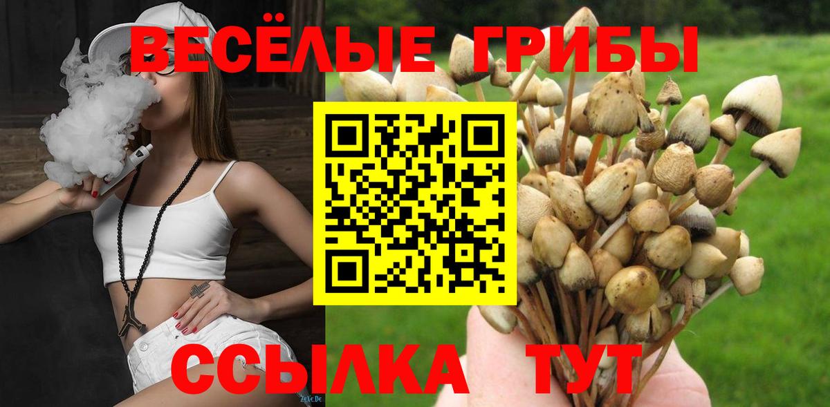 Еманжелинск  Галлюциногенные грибы прущие грибы  купить закладку  Вход с VPN  Галлюциногенные грибы Cubensis 