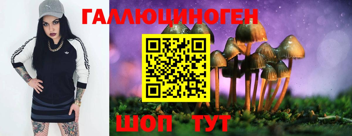 Псилоцибиновые грибы Magic Shrooms Еманжелинск